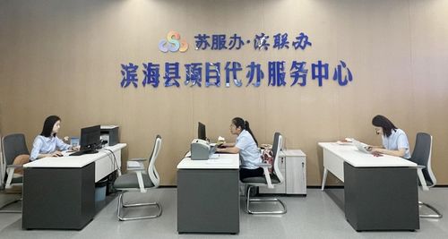 濱海持續(xù)擦亮“濱聯(lián)代辦”服務品牌，提升商務代理代辦服務水平